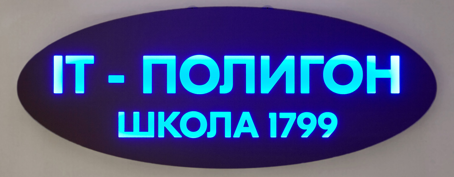 Общая информация, ГБОУ Школа № 1799, Москва